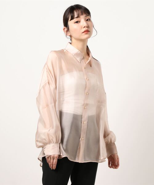 ANDGEEBEE(アンジービー)の「シアーシャツ(シャツ/ブラウス・レディース・ブラック/ベージュ・MEDIUM)」の5枚目の写真