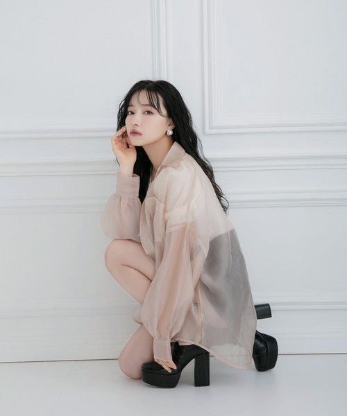 ANDGEEBEE(アンジービー)の「シアーシャツ(シャツ/ブラウス・レディース・ブラック/ベージュ・MEDIUM)」の9枚目の写真