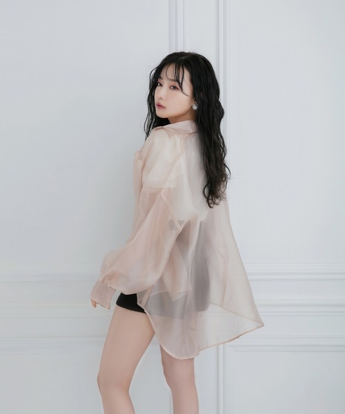 ANDGEEBEE(アンジービー)の「シアーシャツ(シャツ/ブラウス・レディース・ブラック/ベージュ・MEDIUM)」の11枚目の写真