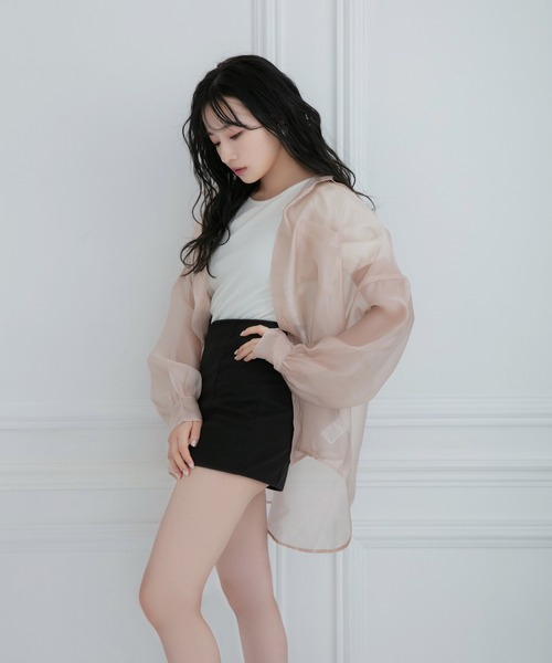 ANDGEEBEE(アンジービー)の「シアーシャツ(シャツ/ブラウス・レディース・ブラック/ベージュ・MEDIUM)」の12枚目の写真