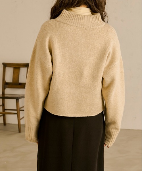 Ambre Neige(アンブルネージュ)の「ハーフジップニット/【WEB/EC限定商品】(ニット/セーター・レディース・ベージュ/アイボリー・FREE)」の5枚目の写真