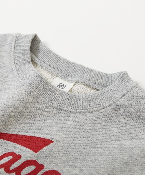 デビラボカレッジトレーナー