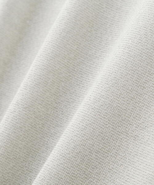 FREE'S MART(フリーズマート)の「ラメシアーハイネックカットソー(Tシャツ/カットソー・レディース・ブラック/ブルー/ホワイト・FREE)」の17枚目の写真