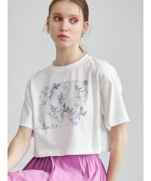 plantica(プランティカ)の「プランティカプリントTシャツ(Tシャツ/カットソー・レディース・ラベンダー/アイボリー/イエロー・FREE)」の3枚目の写真