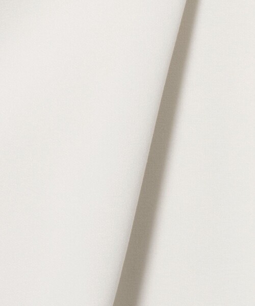 A DAY IN THE LIFE UNITED ARROWS(アデイインザライフユナイテッドアローズ)の「ジョーゼット クルーネック プルオーバー <A DAY IN THE LIFE>(Tシャツ/カットソー・レディース・ナチュラル/ブラック/オフホワイト・FREE)」の18枚目の写真