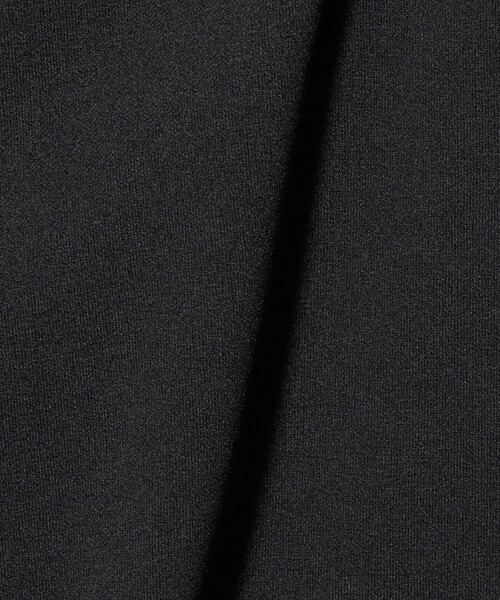 A DAY IN THE LIFE UNITED ARROWS(アデイインザライフユナイテッドアローズ)の「ジョーゼット クルーネック プルオーバー <A DAY IN THE LIFE>(Tシャツ/カットソー・レディース・ナチュラル/ブラック/オフホワイト・FREE)」の20枚目の写真