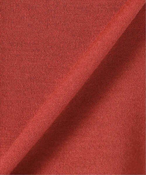 IENA（イエナ）の「18ゲージVネックカーディガン◆（カーディガン/ボレロ・レディース・ライトグレー/レッド/ブラック・FREE）」の22枚目の写真