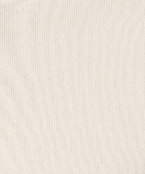 DRESSTERIOR(ドレステリア)の「◆【新色登場】吊裏毛ライトパーカー(パーカー・レディース・アイボリー/ライトグレー/ネイビー/チャコールグレー/グリーン・01/02/03/04)」の10枚目の写真