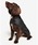 BarbouriouA[j́ubNX Rbg hbO R[giybgEFAjvbubN