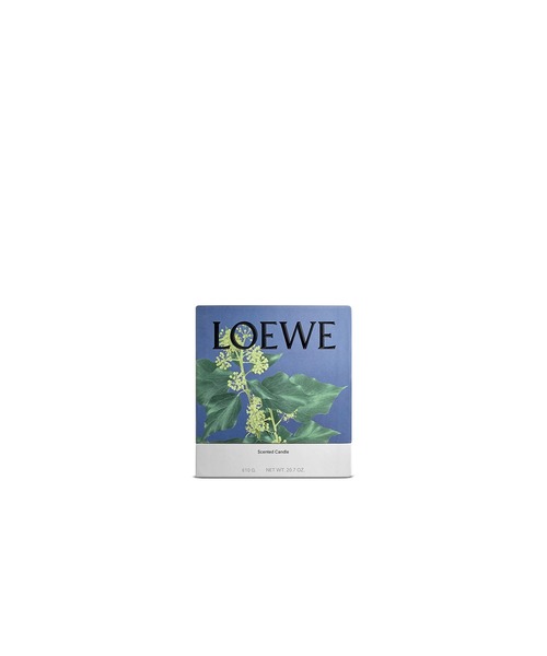 LOEWE Perfumes（ロエベ パルファム）の「ロエベ キャンドル アイビー