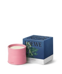 LOEWE Perfumes（ロエベ パルファム）の「ロエベ キャンドル アイビー