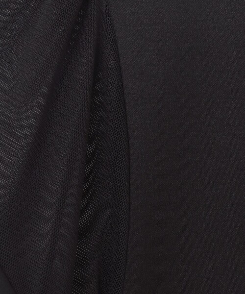 GRACE CONTINENTAL（グレースコンチネンタル）の「シアーフレアスリーブトップ（Tシャツ/カットソー・レディース・ブラック/ホワイト・36）」の19枚目の写真