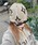 sedacleiZ_Nj́u_C`[tr[j[ijbgLbv/r[j[jvbx[W