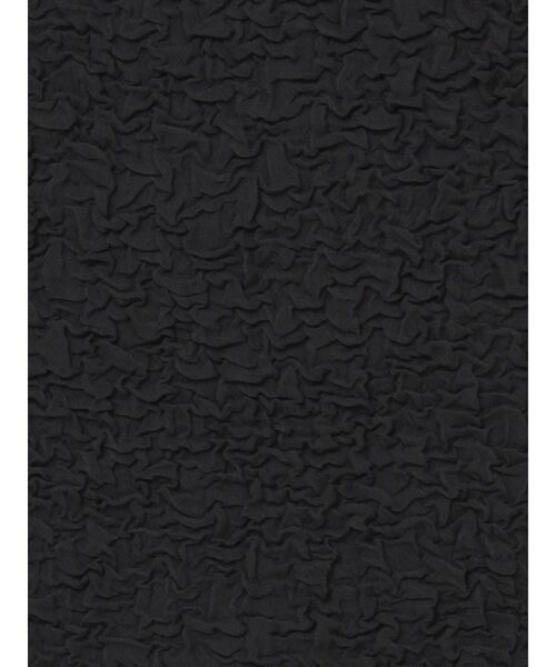 LAGUNAMOON（ラグナムーン）の「2WAYシャーリングトップス（Tシャツ/カットソー・レディース・グリーン系その他/アイボリー/ブラック・FREE）」の22枚目の写真