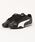 PUMA�i�v�[�}�j�́uPUMA �v�[�} CATCH�y�y�ʁz���f�B�[�X�X�j�[�J�[ ���� ���[�v���t�@�C��(�L���b�`)�i�X�j�[�J�[�j�v�b�u���b�N×�z���C�g