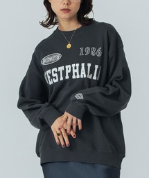 PATCH EMBROIDERY PULLOVER