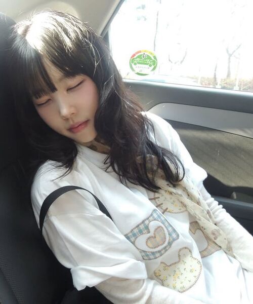 ambler(エムブラー)の「Meow Bear アプリケ刺繍半袖Tシャツ AS1309 (ブラック)(Tシャツ/カットソー・レディース・その他・SMALL/MEDIUM/FREE)」の15枚目の写真