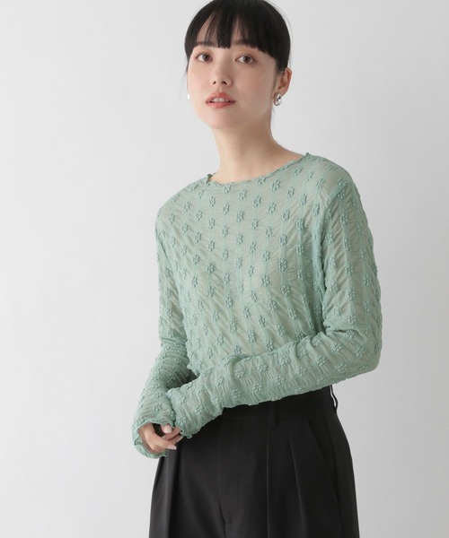 LOWRYS FARM(ローリーズファーム)の「シアーフラワージャガードロングスリーブ 191365(Tシャツ/カットソー・レディース・ブラック/グリーン/アイボリー・FREE)」の1枚目の写真