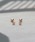 PeonyisIj[j́uyPeony/sIj[z/T[WJXeX@VvX^[sAXisAXipjjvbsNS[h