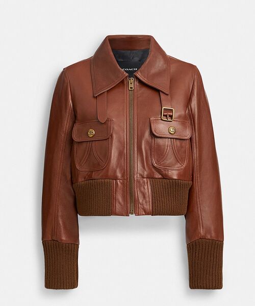 COACH（コーチ）の「シュランケン レザー アビエーター ジャケット（その他アウター・レディース・ブラウン系その他・MEDIUM/SMALL）」の5枚目の写真