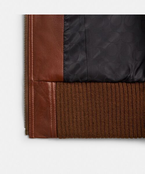 COACH（コーチ）の「シュランケン レザー アビエーター ジャケット（その他アウター・レディース・ブラウン系その他・MEDIUM/SMALL）」の6枚目の写真