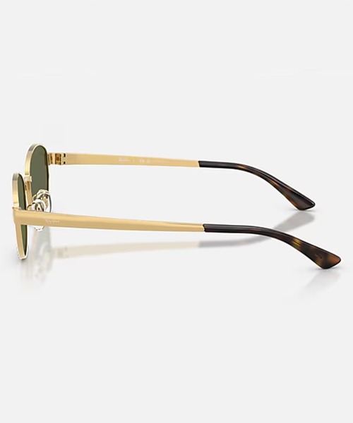 Ray-Ban(レイバン)の「Ray-Ban/レイバン サングラス 偏光 紫外線対策 0RB3774D 001/9A(サングラス・メンズ・グリーン・FREE)」の6枚目の写真