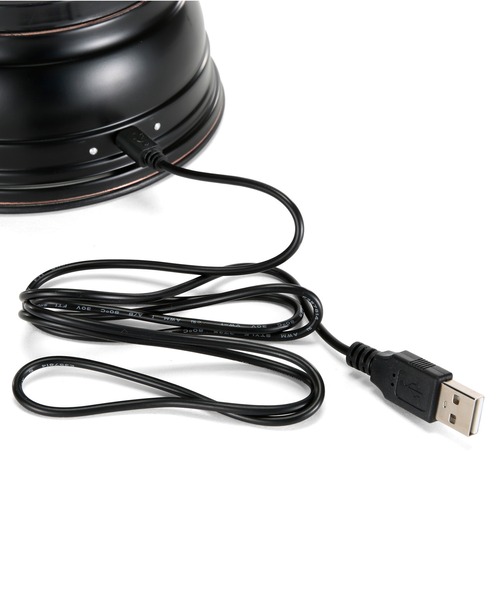 BAREBONES（ベアボーンズ）の「BAREBONES FOREST LANTERN ベアボーンズ フォレストランタン LED 照明（照明・レディース・ブロンズ/レッド・FREE）」の7枚目の写真