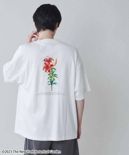 LUCY(ルーシー)の「∴WEGO/別注NYBGグラフィックT(Tシャツ/カットソー・メンズ・その他4/その他1/その他2/その他3・MEDIUM/LARGE)」の3枚目の写真