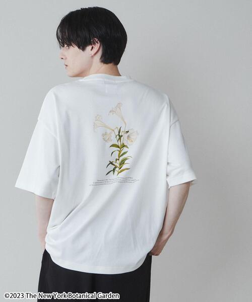 LUCY(ルーシー)の「∴WEGO/別注NYBGグラフィックT(Tシャツ/カットソー・メンズ・その他4/その他1/その他2/その他3・MEDIUM/LARGE)」の4枚目の写真