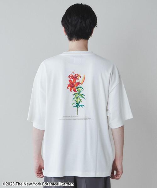 LUCY(ルーシー)の「∴WEGO/別注NYBGグラフィックT(Tシャツ/カットソー・メンズ・その他4/その他1/その他2/その他3・MEDIUM/LARGE)」の15枚目の写真