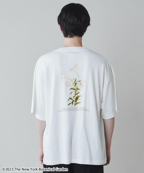 tシャツ 「NYBG」ガーデンロゴTシャツ レディース NYBG】ガーデンロゴTシャツ（Tシャツ/カットソー）｜LE CERCLE