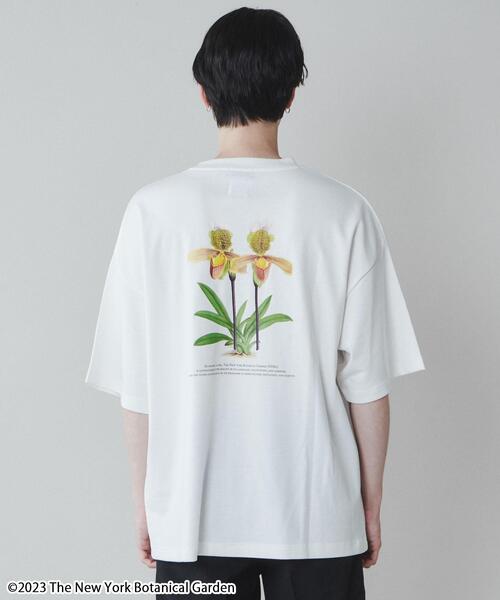 セール】∴WEGO/別注NYBGグラフィックT（Tシャツ/カットソー