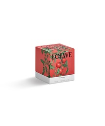 ロエベ トマトリーフ キャンドルs ロエベ キャンドル トマトリーフ S（キャンドル）｜LOEWE