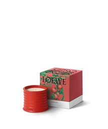 ロエベ キャンドル トマトリーフ トマトリーフ ワックス キャンドルホルダー レッド - LOEWE