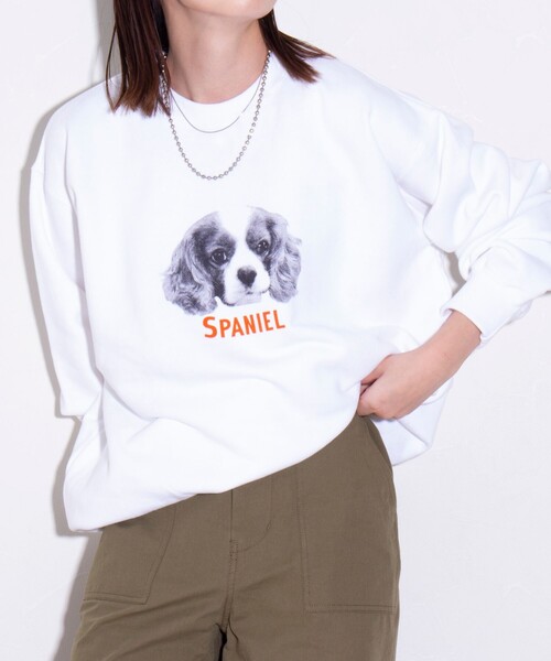 GLOSTER(グロスター)の「【GLOSTER/グロスター】DOG&CAT 犬猫プリント クルーネックスウェット(スウェット・メンズ・グレー系その他/ホワイト系その他/グレー系その他4/グレー系その他3/グレー系その他2/ホワイト系その他2・L/M/S)」の16枚目の写真