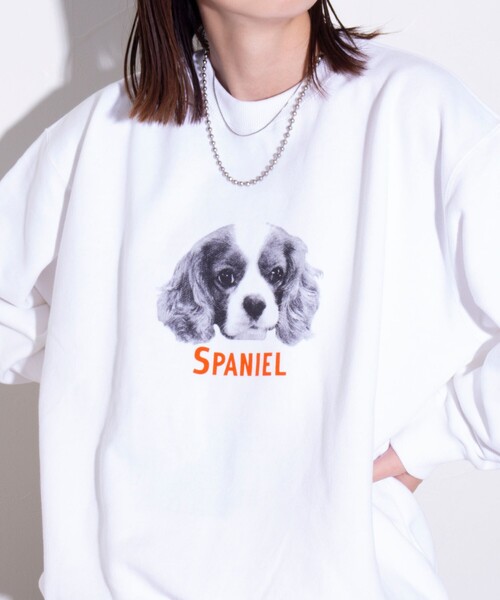 GLOSTER(グロスター)の「【GLOSTER/グロスター】DOG&CAT 犬猫プリント クルーネックスウェット(スウェット・メンズ・グレー系その他/ホワイト系その他/グレー系その他4/グレー系その他3/グレー系その他2/ホワイト系その他2・L/M/S)」の19枚目の写真