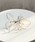 utatane�i�E�^�^�l�j�́u������ �����S�����`�[�tU�s��2�_�Z�b�g ���{���i�a�������j�v�b�z���C�g