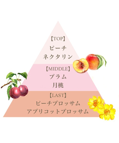 FERNANDA(フェルナンダ)の「オードパルファム12.5ml(モモ)/Eau de Parfum 12.5ml (Momo)(香水・レディース・その他・FREE)」の6枚目の写真