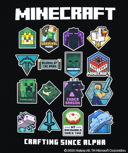 RUGGEDWORKS（ラゲッドワークス）の「《マインクラフト》キッズ 半袖 Tシャツ（Tシャツ/カットソー・キッズ・ブルー/ブラック・160/150/110/140/130/120）」の9枚目の写真