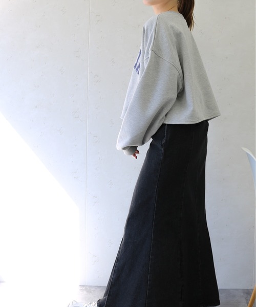 Per sist ence（パーシエンス）の「Per sist ence/パーシエンス　裏毛 カレッジロゴショート丈プルオーバー（Tシャツ/カットソー・レディース・ホワイト系その他/グレー系その他/ブルー系その他/ホワイト系その他2・FREE）」の20枚目の写真