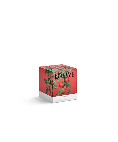 LOEWE トマト キャンドル 【新品未使用】ロエベ トマトリーフ キャンドル ラージ レッド - LOEWE