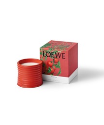 ロエベ キャンドル トマトリーフ トマトリーフ キャンドル ミディアム レッド - LOEWE