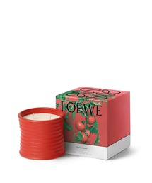 LOEWE ロエベ キャンドル トマトリーフ トマトリーフ キャンドル スモール レッド - LOEWE