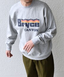 【WEB限定】SHIPS any: NATIONAL PARK プリント スウェット 24FW (ユニセックス)◇