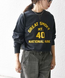 【WEB限定】SHIPS any: NATIONAL PARK プリント スウェット 24FW (ユニセックス)◇