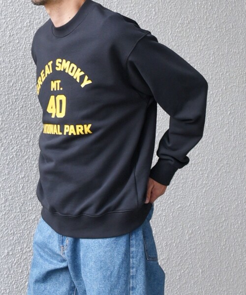 SHIPS any（シップス エニィ）の「【WEB限定】SHIPS any: NATIONAL PARK プリント スウェット 24FW (ユニセックス)◇（スウェット・メンズ・ネイビー/ダークグレー/ブラック/グレー/ナチュラル・SMALL/MEDIUM/LARGE）」の14枚目の写真