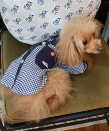 KRIFF MAYER（クリフメイヤー）の「【犬服・ドッグウェア】ハッピーシャツ（ペットウェア）」