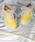 Paradeip[hj́uy/J[/JzWEB@ɐFZuV[YvCT7887iXj[J[jvbCG[
