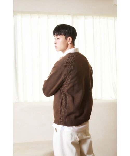 AYIHOLIC CASHMERE(アイホリックカシミア)の「キャッシュライクラウンドケーブルニット ブラウン #5 COLOR(ニット/セーター・レディース・ブラウン・M/L)」の2枚目の写真