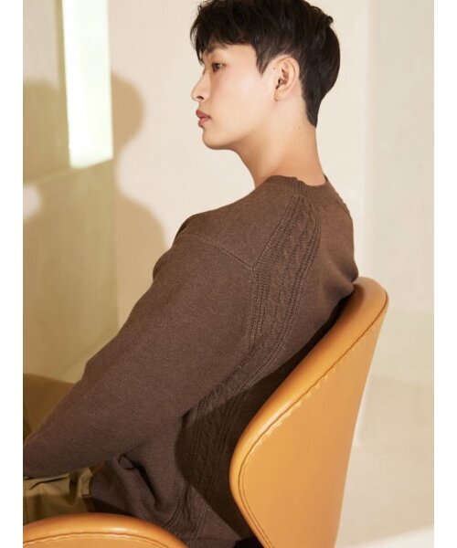 AYIHOLIC CASHMERE(アイホリックカシミア)の「キャッシュライクラウンドケーブルニット ブラウン #5 COLOR(ニット/セーター・レディース・ブラウン・M/L)」の5枚目の写真
